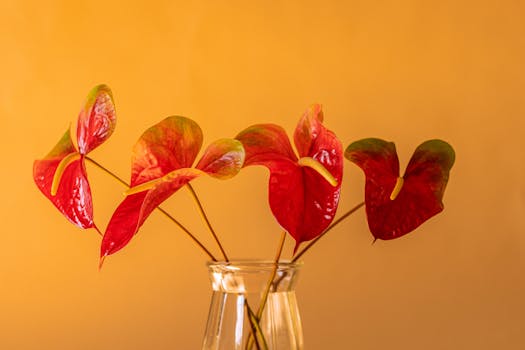 colorful container garden