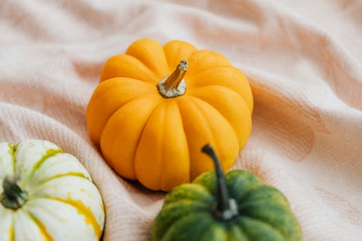 colorful fall vegetables