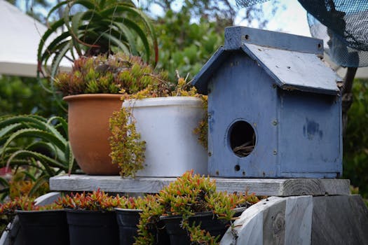 gardening calendar