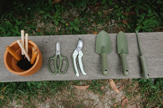 gardening tools arranged neatly