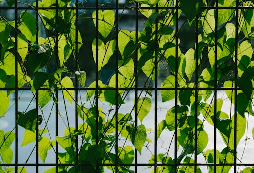 vertical garden with plants climbing a trellis