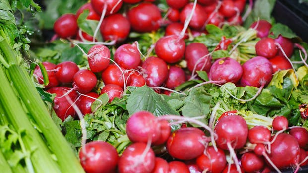 colorful radishes in garden