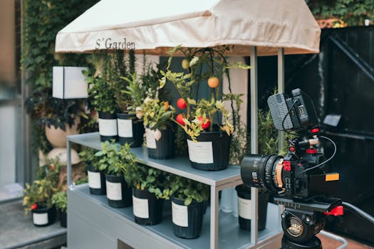 cold frame setup for plants