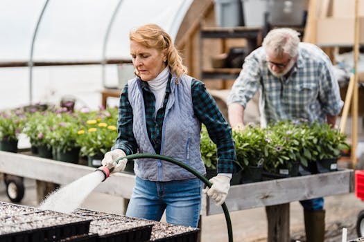 Gardener tending to container plants