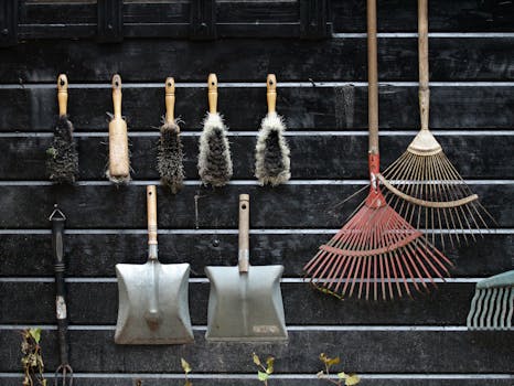 A well-organized garden shed with tools neatly stored