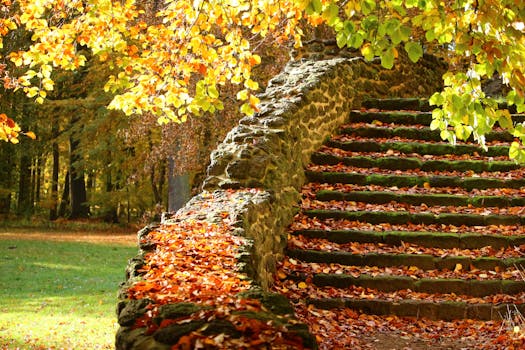 a beautiful fall garden