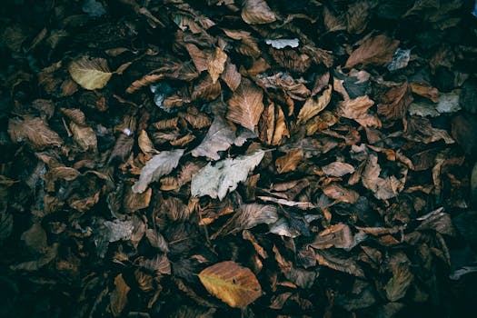 A thriving compost pile ready for use