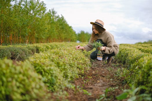 image of a gardener mixing compost materials