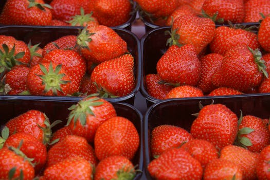 colorful array of fruits in containers