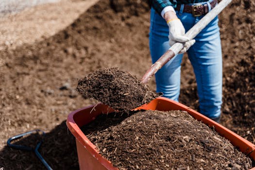 Composting benefits in action