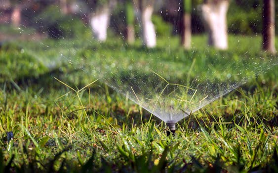 a lush garden with efficient irrigation