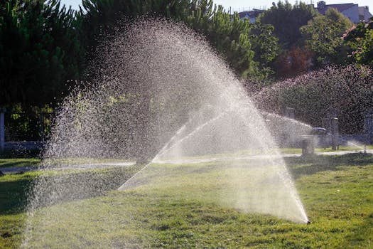 a well-set drip irrigation system watering a garden