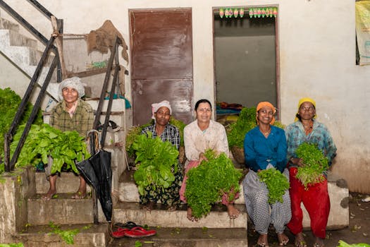 a thriving vegetable garden with drip irrigation