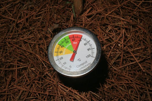 composting materials in a compost bin