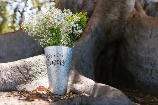 fresh cut flowers in a vase