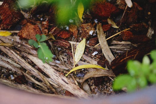 composting garden debris