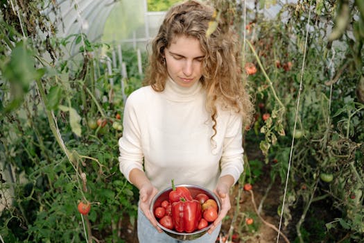 harvesting vegetables