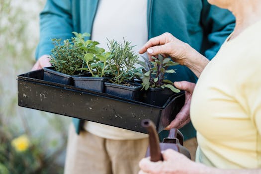 container garden with herbs