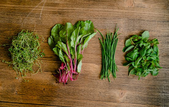 healthy microgreens ready for harvest