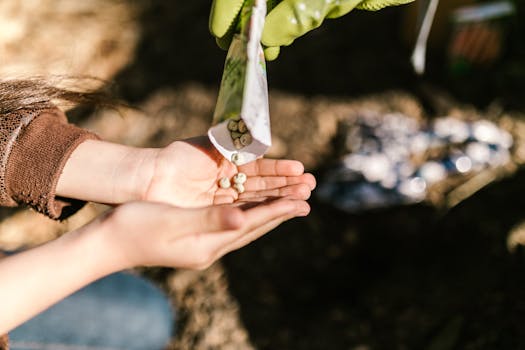 hands planting seeds in rich soil