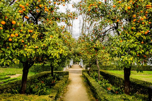 Colorful fruit trees in a backyard garden