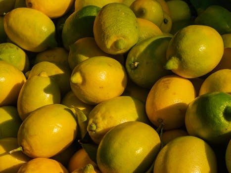 Beautiful lemon tree with ripe lemons