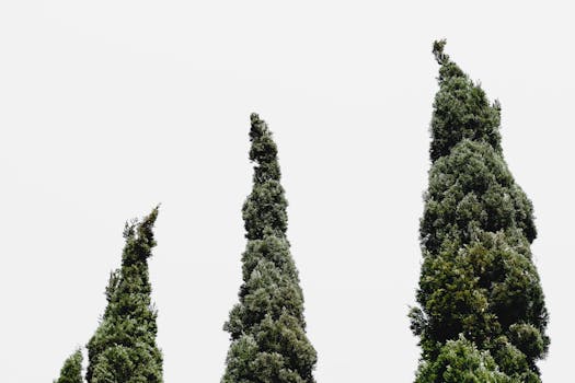 vertical garden with a variety of plants