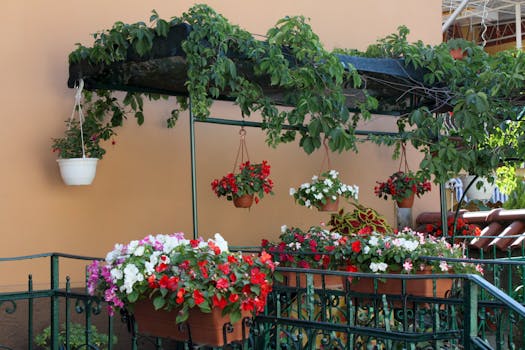 colorful balcony garden with vegetables