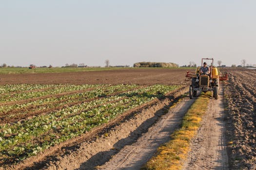 crop rotation template