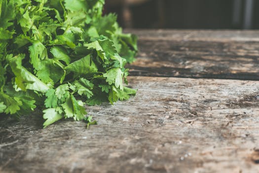 healthy vegetable garden layout