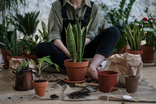 Indoor planting thermometer