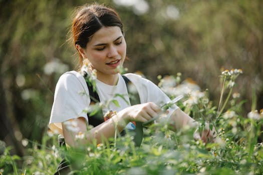 seasonal garden care