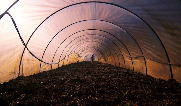 planting cover crops