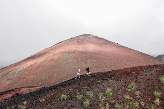 well-supported climbing plants