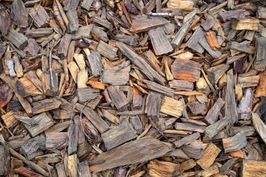 Image of a compost pile in a garden