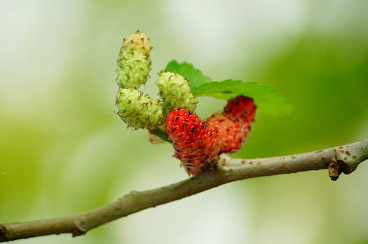 healthy garden ecosystem