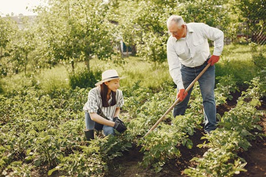 vegetable garden care