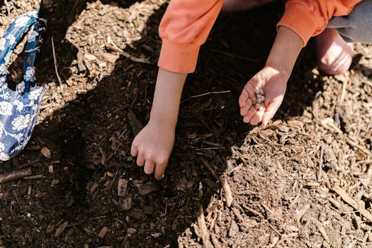 planting seeds