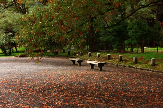 gravel pathway with weeds