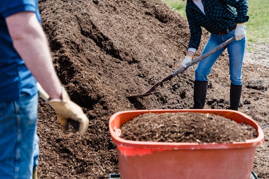 vegetable garden with mulch