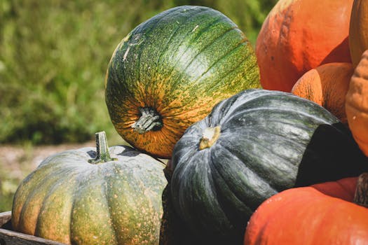 healthy garden with diverse crops