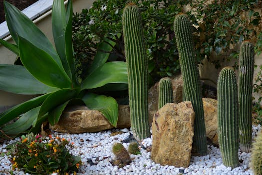 lush garden with decorative stones