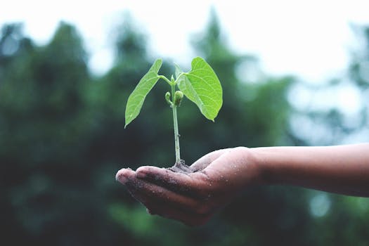 biodiversity in gardening