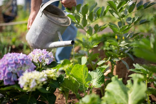 eco-friendly gardening practices