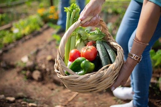 harvested vegetables in basket