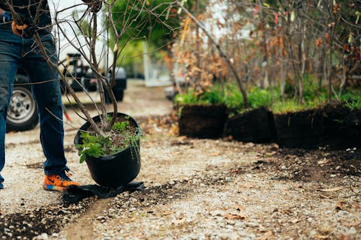 seasonal garden care with tools