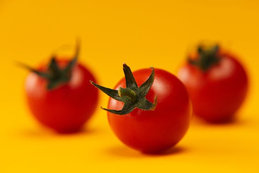 vibrant garden with ripe vegetables