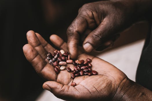 image of seed starting mix ingredients