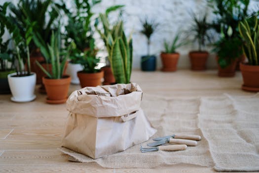 image of properly potted indoor herbs