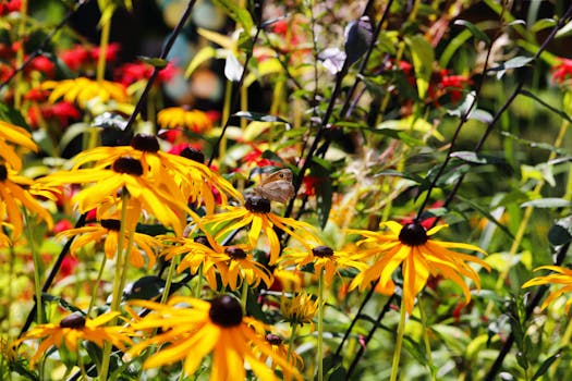 vibrant spring garden with various plants